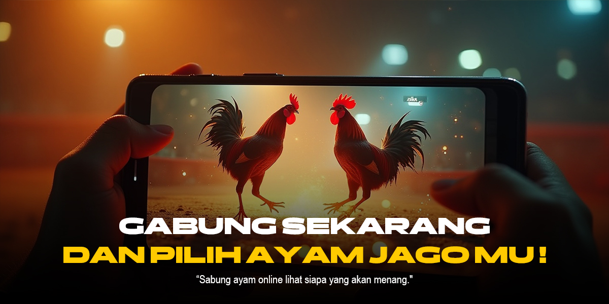 Mengenal Jaguh Sabung Ayam: Jenis, Odds & Provider SV388